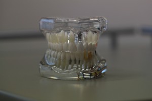 dentistry-668214_1280